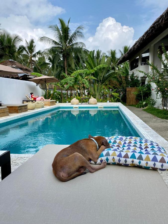 Parrots Boutique Resort San Vicente  Ngoại thất bức ảnh
